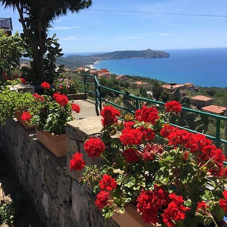 Villa Incanto B&B Caprioli Eksteriør billede