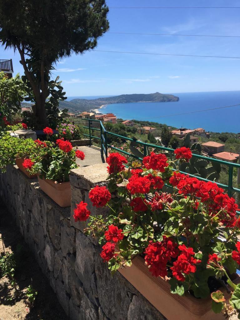 Villa Incanto B&B Caprioli Eksteriør billede